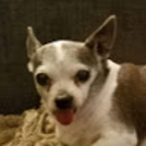 Meet your Posher, Debra